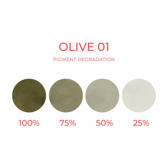 Artyst Olive 01 Artyst Olive 01 10ml