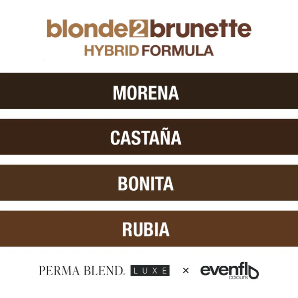 Perma Blend Luxe - Permanent Make Up Color - Evenflo - Blonde 2 Brunette Set - 4 x 15 ml